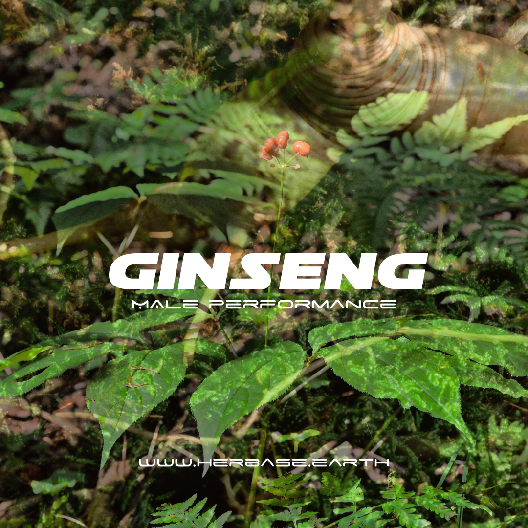 GINSENG -STAMINA & REPRODUCTIVE HEALTH