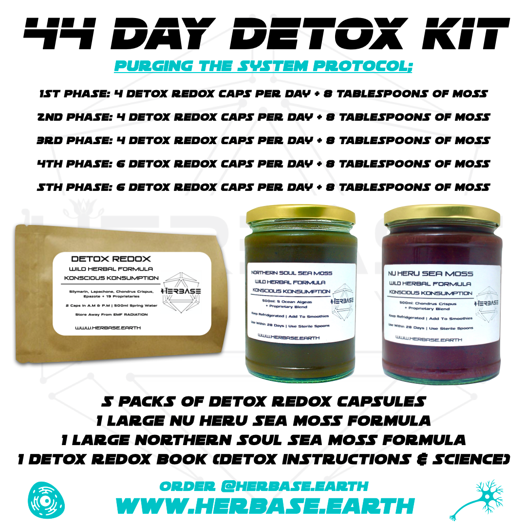 Herbase 44 Day Detox Kit – complete detox supplement for wellness and body cleansing