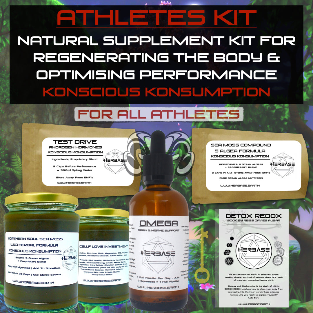 Herbase Athletes Kit – complete performance and recovery formula main product image for fitness and endurance