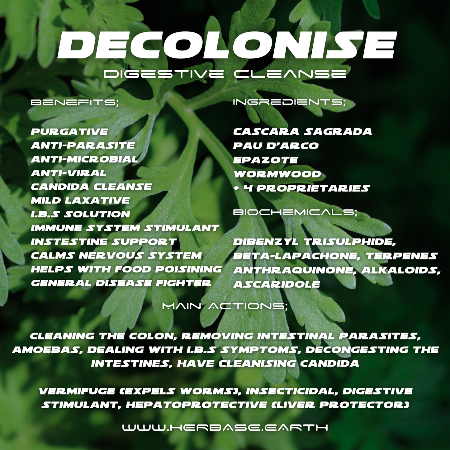 Herbase Decolonise – 100% Natural Parasite and Microbe Cleanse showing key ingredients and health benefits