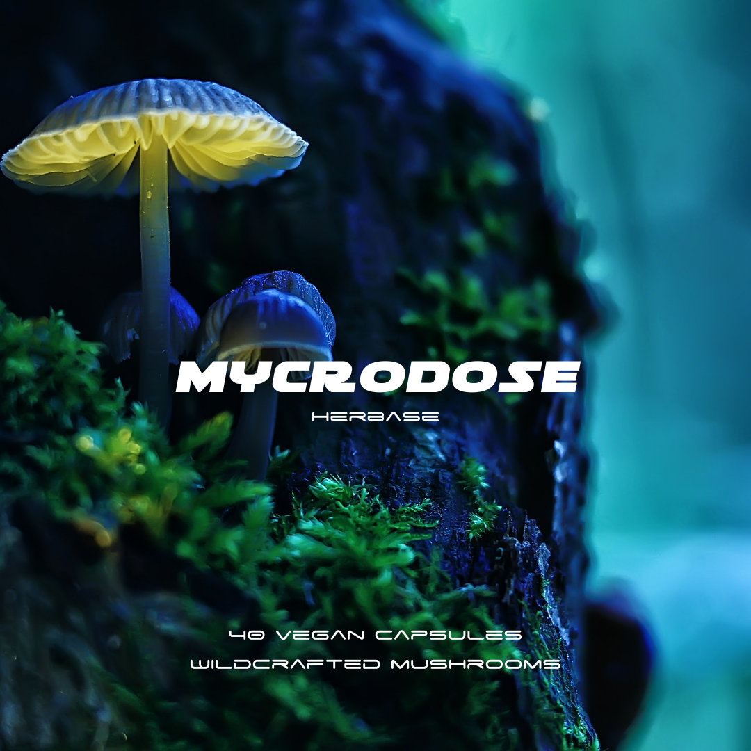 Herbase Mycrodose – Brain and Body Herbal Formula main product image for cognitive and physical wellness