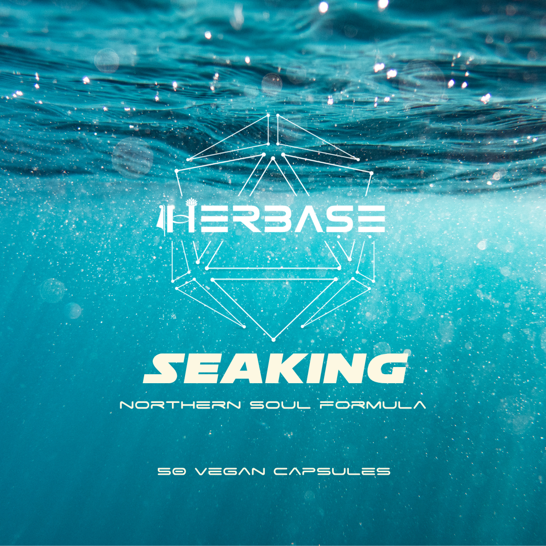 SEAKING - Northern Soul Formula