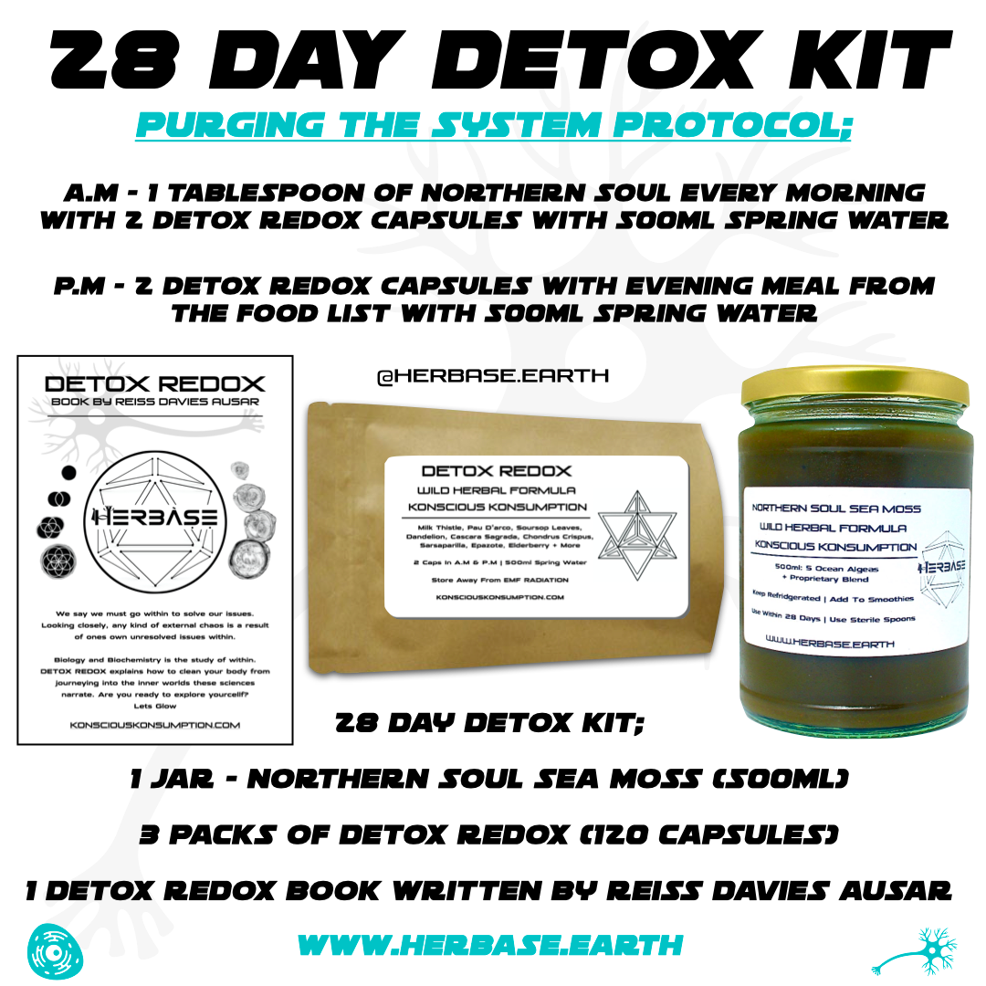 Herbase 28 Day Detox Kit – natural herbal cleanse supporting liver health, digestion, and full-body detoxification