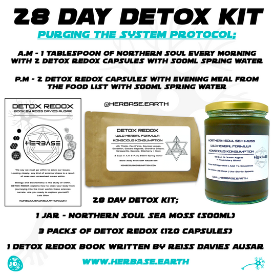 Herbase 28 Day Detox Kit – natural herbal cleanse supporting liver health, digestion, and full-body detoxification