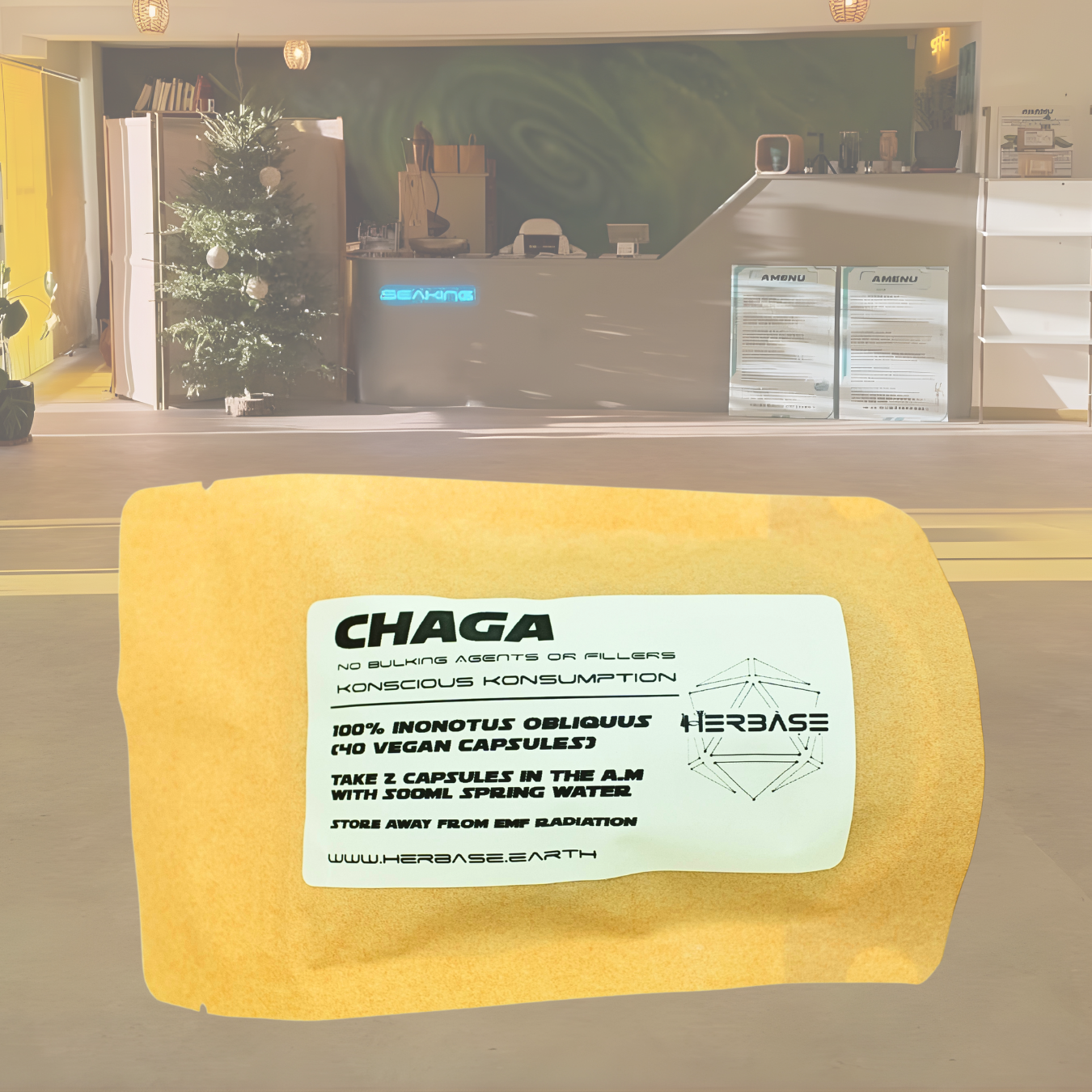 Chaga Mushroom Capsules by Herbase – antioxidant-rich immune and liver support from Inonotus obliquus