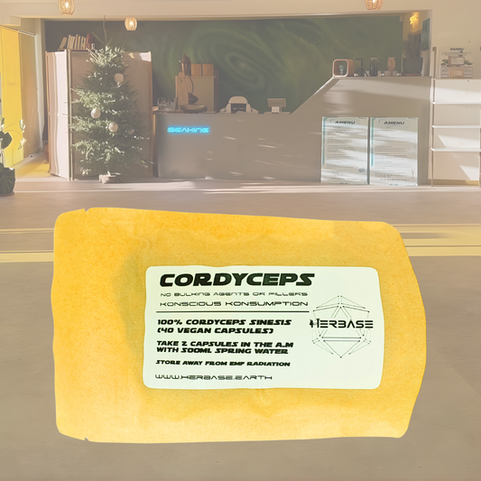 Cordyceps Sinensis Capsules by Herbase – natural endurance and respiratory support for energy and performance