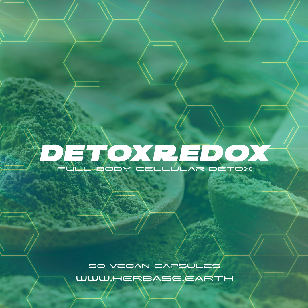 Detox Redox by Herbase – cellular detox formula poster showing wild herbal ingredients and NRF2 activation benefits