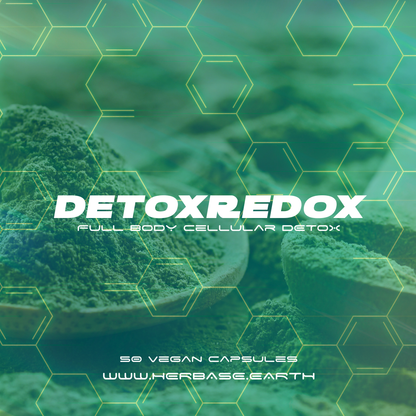 Detox Redox by Herbase – cellular detox formula poster showing wild herbal ingredients and NRF2 activation benefits