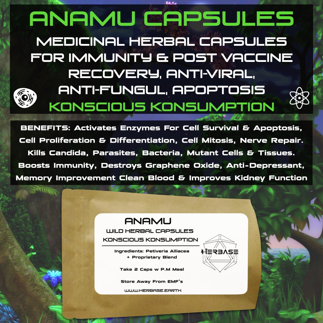 Anamu Capsules - natural immune and cellular defence support with pure Guinea Hen Weed extract.