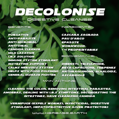 Herbase Decolonise – 100% Natural Parasite and Microbe Cleanse showing key ingredients and health benefits