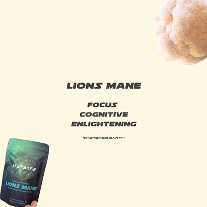 Alternate view of Herbase Lion’s Mane – 100% Pure Hericium Erinaceus Capsules showing Packaging and benefits