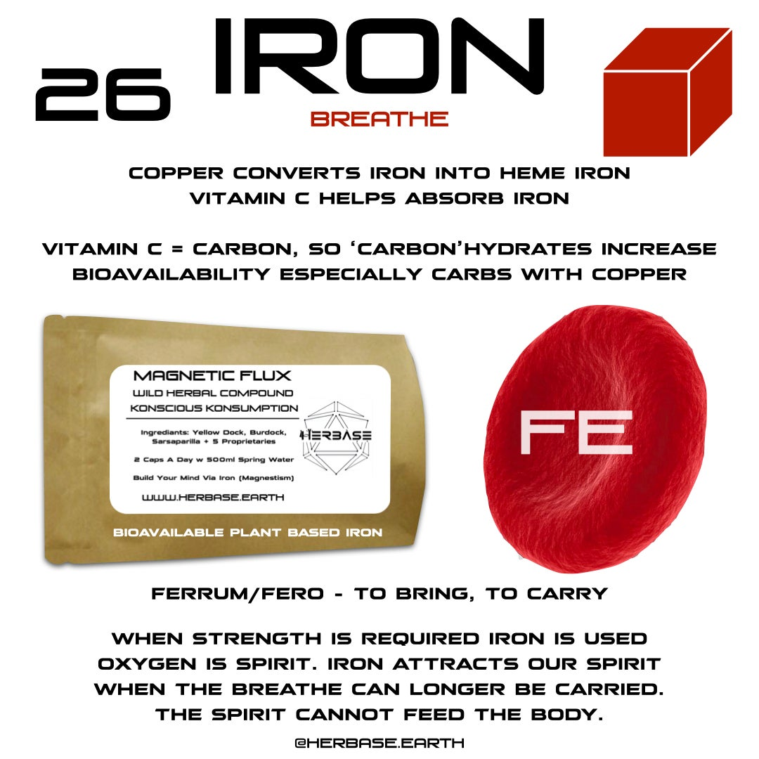 Herbase Magnetic Flux – Circulatory and Cellular Detox Formula showing key benefits and health effects