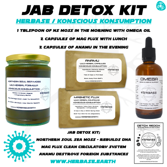 Herbase MRNA Detox Kit – Jab Detox Kit main product image for cellular and immune support