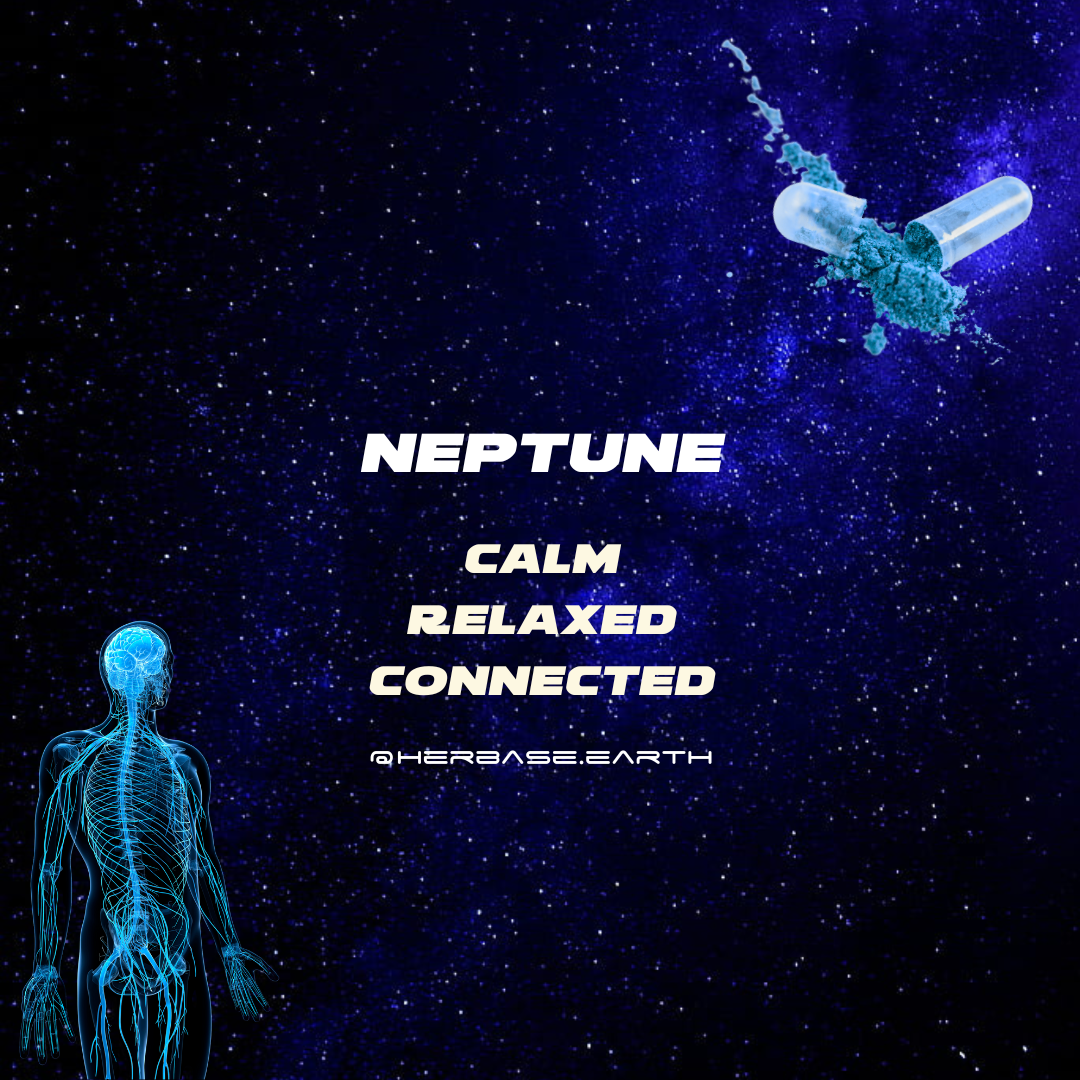 Alternate view of Herbase Neptune – Sleep and Circadian Support Capsules showing benefits