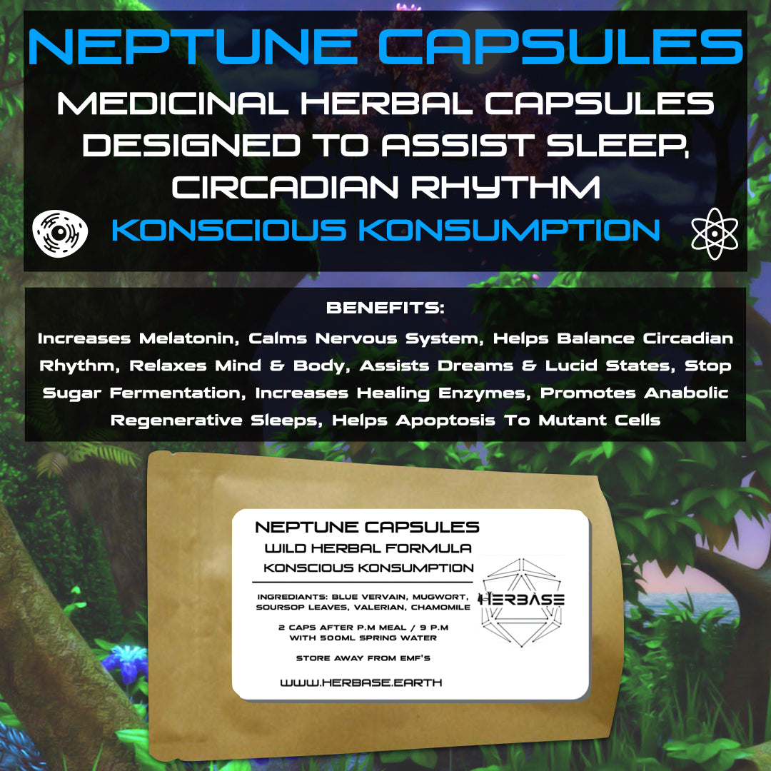 Herbase Neptune – Sleep and Circadian Support Capsules main product image for restful sleep and circadian wellness