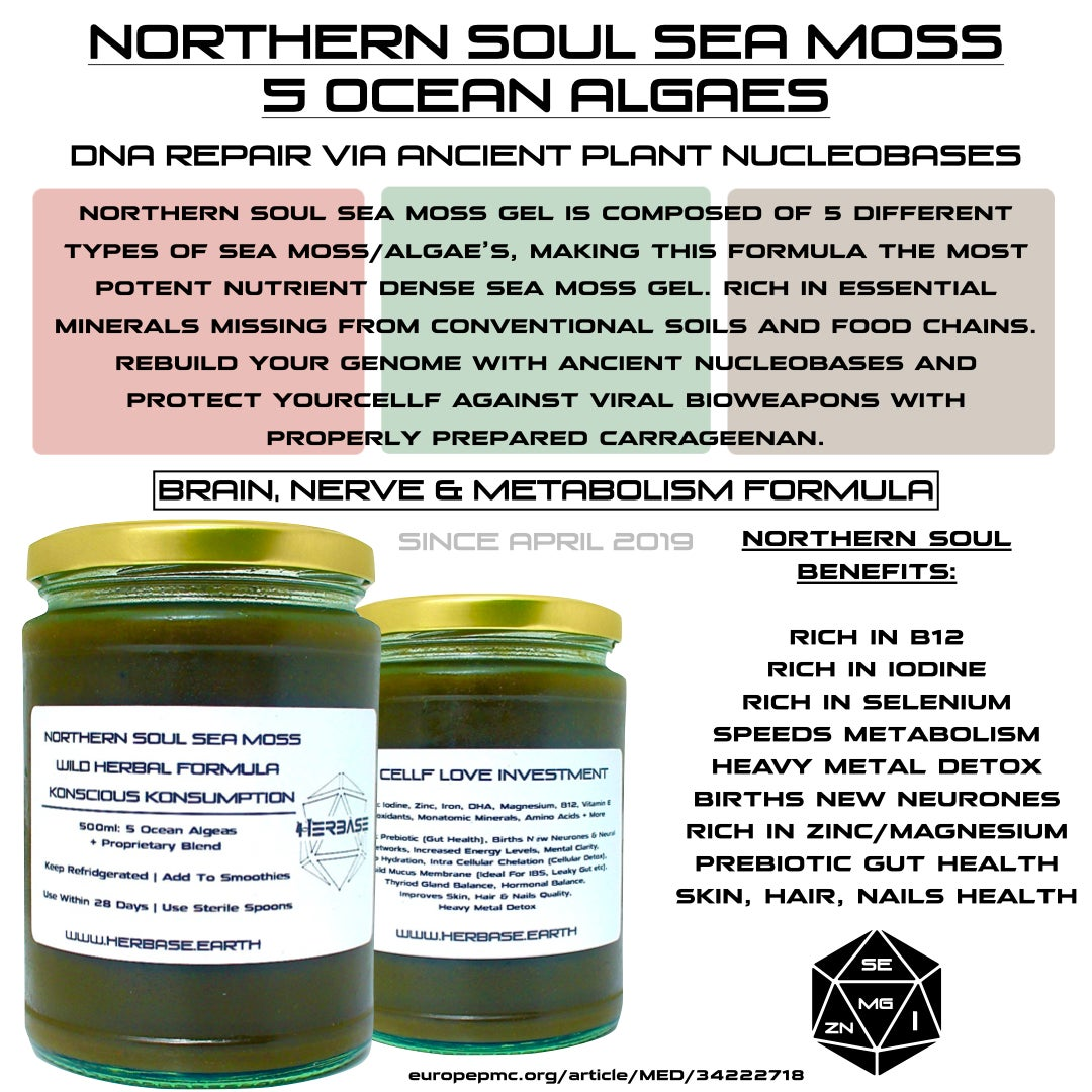 Herbase Northern Soul Sea Moss – 500ml Chondrus Crispus Gel showing key health benefits and wellness effects