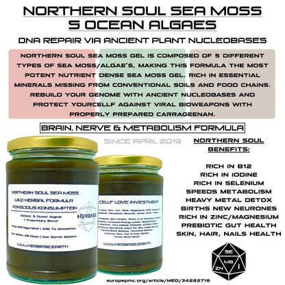 Herbase Northern Soul Sea Moss – 500ml Chondrus Crispus Gel showing key health benefits and wellness effects