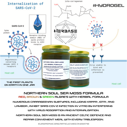 Diagram illustrating how Herbase Northern Soul Sea Moss – 500ml Chondrus Crispus Gel supports health and nutrition