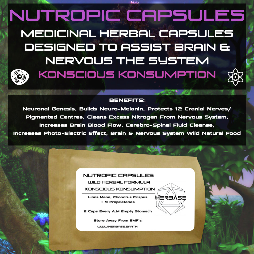Herbase Nutropic – Brain and Nerve Support Herbal Formula main product image showing bottle and key benefits for cognitive wellness.