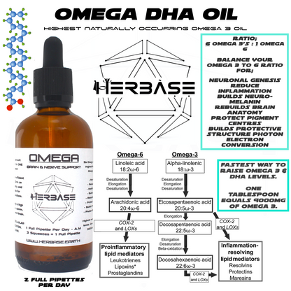Herbase Omega Oil – Brain, Nerve and Cellular Support main product image showing bottle and key health benefits