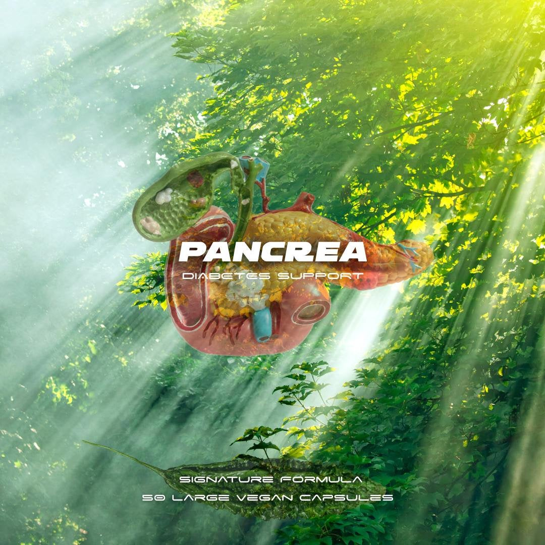 Herbase Pancrea – Diabetes Support and Pancreas Cell Formula main product image for blood sugar and pancreatic health