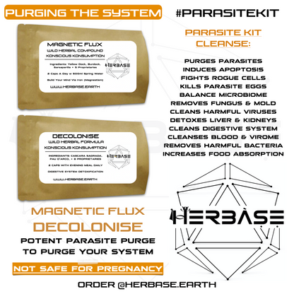 Herbase Parasite Cleanse – Magnetic Flux and Decolonise Herbal System showing key health benefits and usage