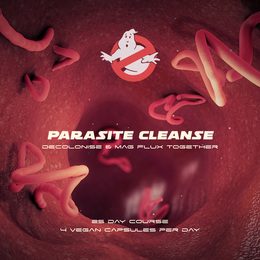 Herbase Parasite Cleanse – Magnetic Flux and Decolonise Herbal System main product image for digestive and gut health support