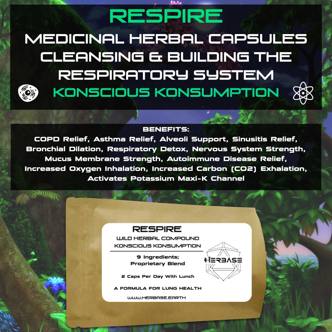 Herbase Respire – Wild Herbal Respiratory Support main product image for lung and respiratory wellness