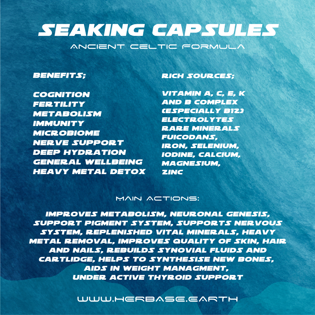 Herbase Seaking Capsules – Northern Soul Sea Moss Formula highlighting key health benefits and wellness effects