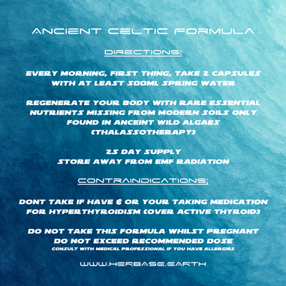 Herbase Seaking Capsules – Northern Soul Sea Moss Formula showing directions for use and dosage instructions