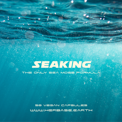 Herbase Seaking Capsules – Northern Soul Sea Moss Formula main product image showing bottle