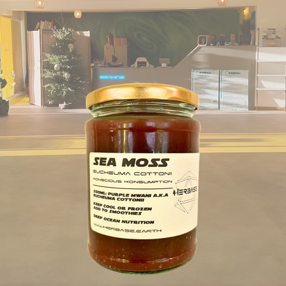 Purple Mwani Sea Moss – Eucheuma Cottonii rich in minerals, antioxidants, and full-spectrum nutrition