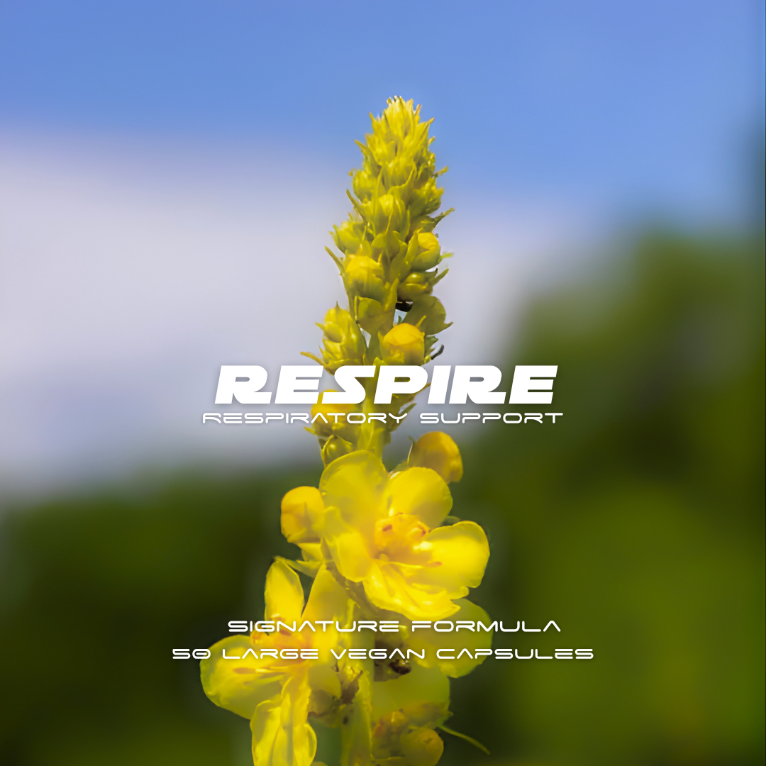 Respire respiratory support formula – natural herbs for clear breathing and lung health