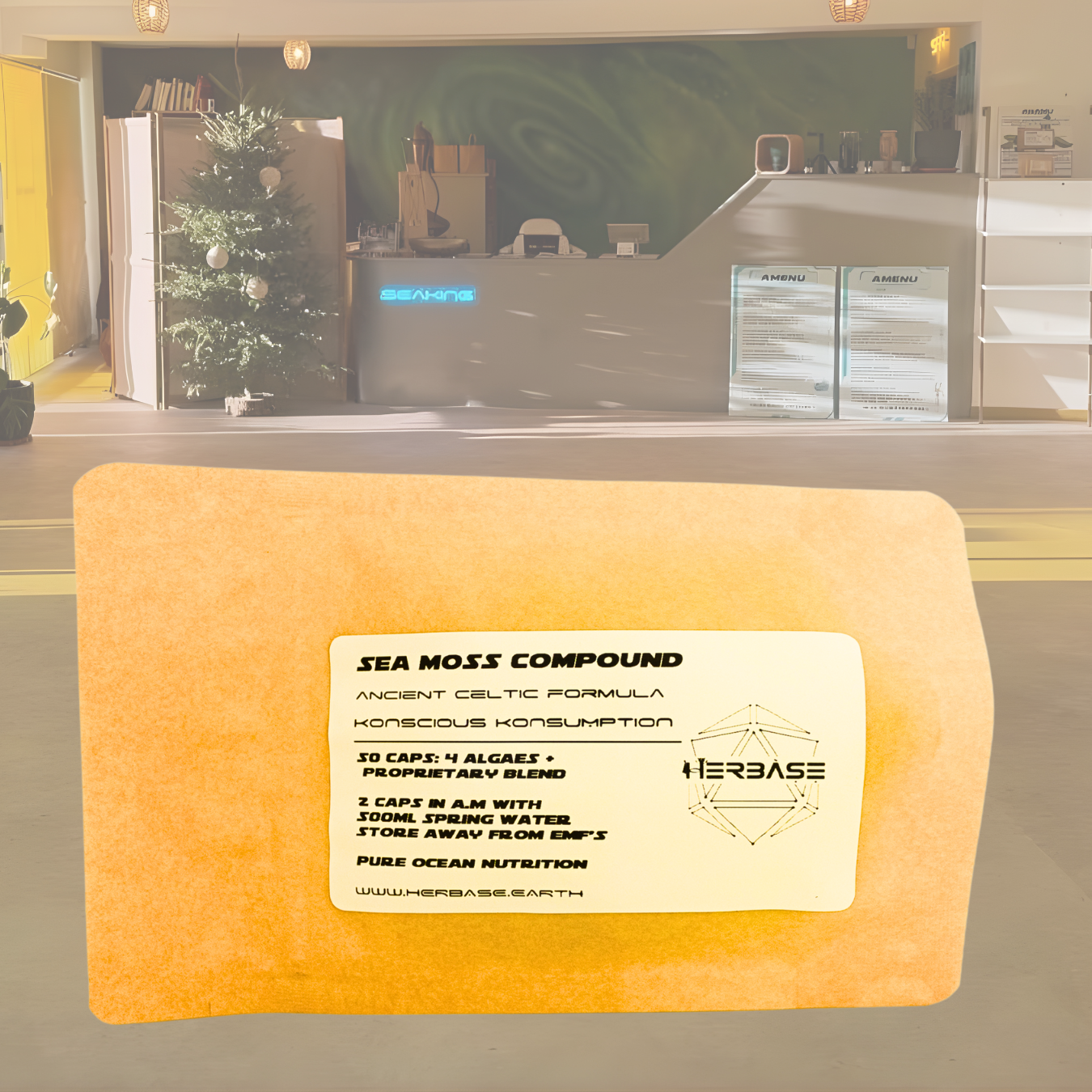 Seaking Capsules – full spectrum sea moss nutrition for minerals, energy, and whole-body wellness